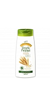 Cleansing shampoo Bran Rye for normal and prone to greasy hair