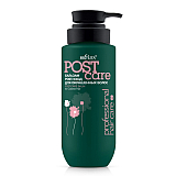 Бальзам POST-уход для окрашенных волос Professional HAIR CARE