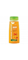 TRADITIONAL SHAMPOO for hair CALENDULA and BUR–MARIGOLD for the recovery of hair and scalp