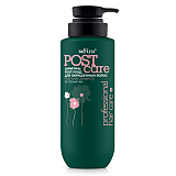 Шампунь POST-уход для окрашенных волос Professional HAIR CARE