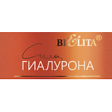 Hyaluronic Power. Hair Nanoplasty